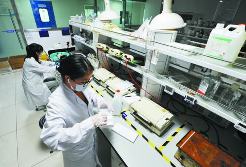 讓創(chuàng)新中藥綻放更多光彩 以嶺藥業(yè)以理論創(chuàng)新驅(qū)動(dòng)中醫(yī)藥產(chǎn)業(yè)化、現(xiàn)代化、國(guó)際化